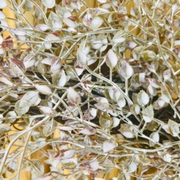 Frosted Fall Little Luna Leaves Wreath, 20” - Picture 3 of 10